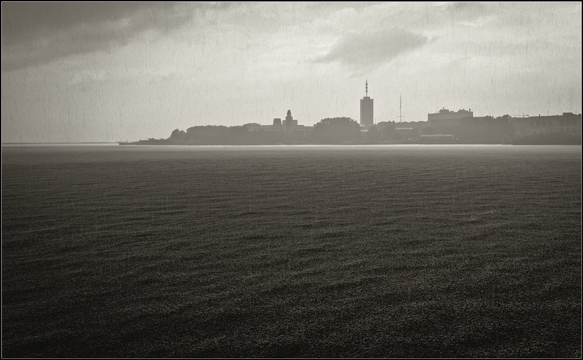 regen, und Hunde ...