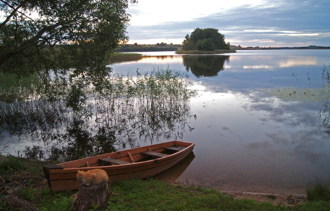 -Hozyain! Es ist Zeit zu fischen zu gehen!