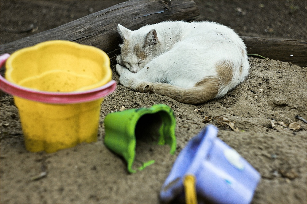 wo es und ging schlafen ... ein Haus ...