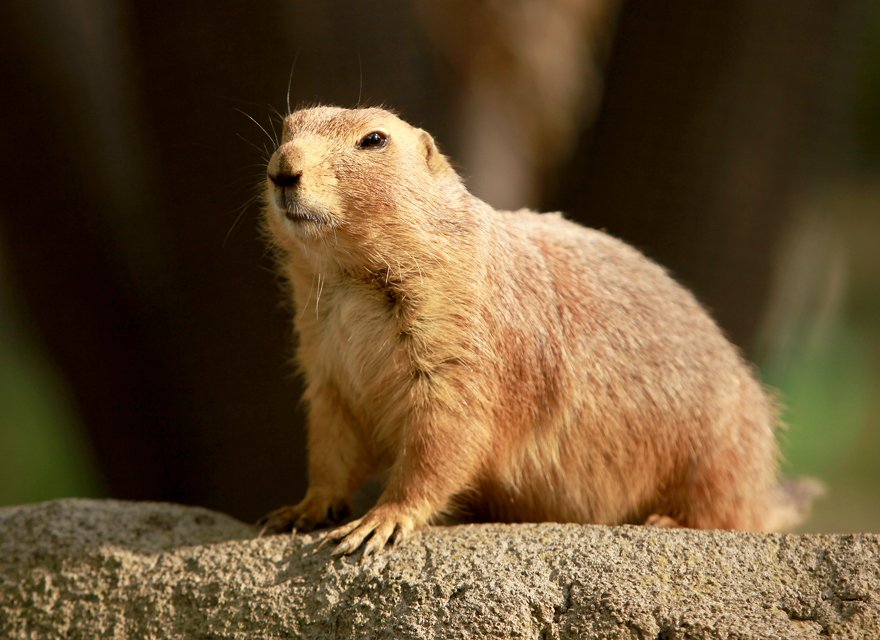 Ich sitze ... schau ...