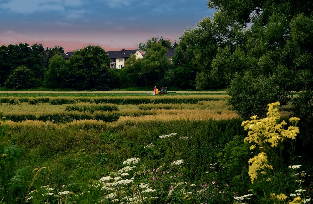 Farmer - ein Workaholic.