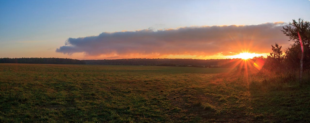 Der frühe Vogel fängt die Sonne auf dem rechten Auge ...