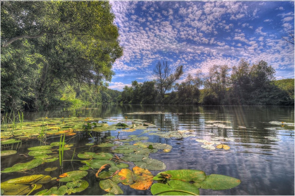 Am Mittag des Flusses