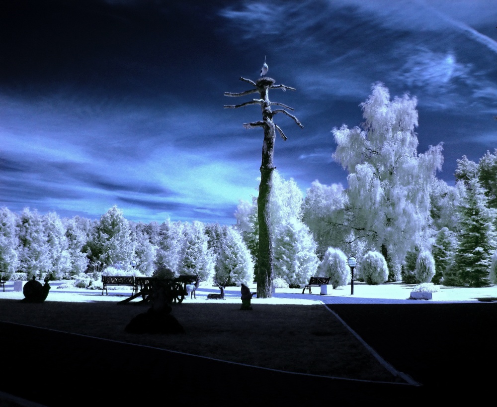 Irgendwo in Weißrussland ...