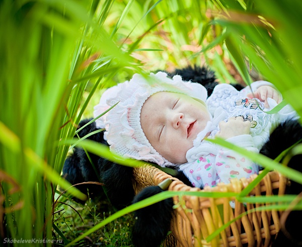 Mit einem Geschenk-Korb
