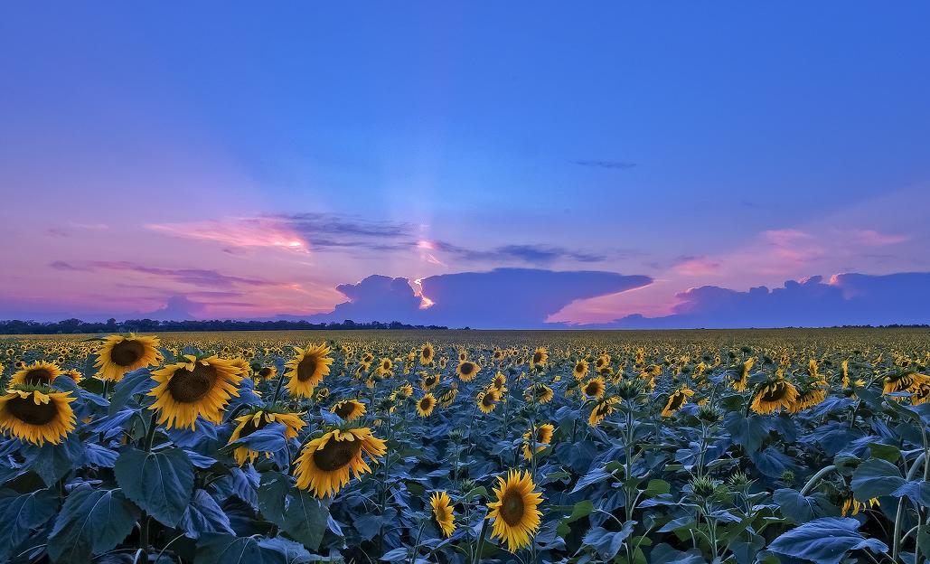 Abschied von der Sonne ...