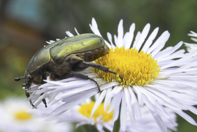 Hoch sitzen, schauen weg ...