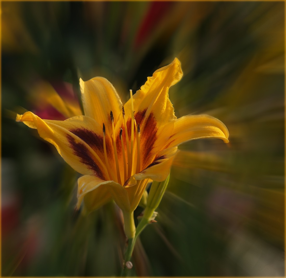 Eines der Betten ***