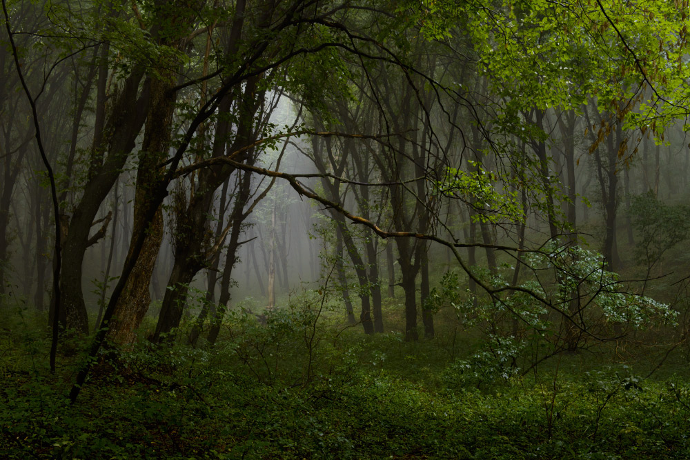 "In den dicht und geschützt ..."