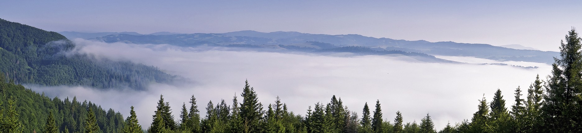 Im Nebel dolini fallen ...