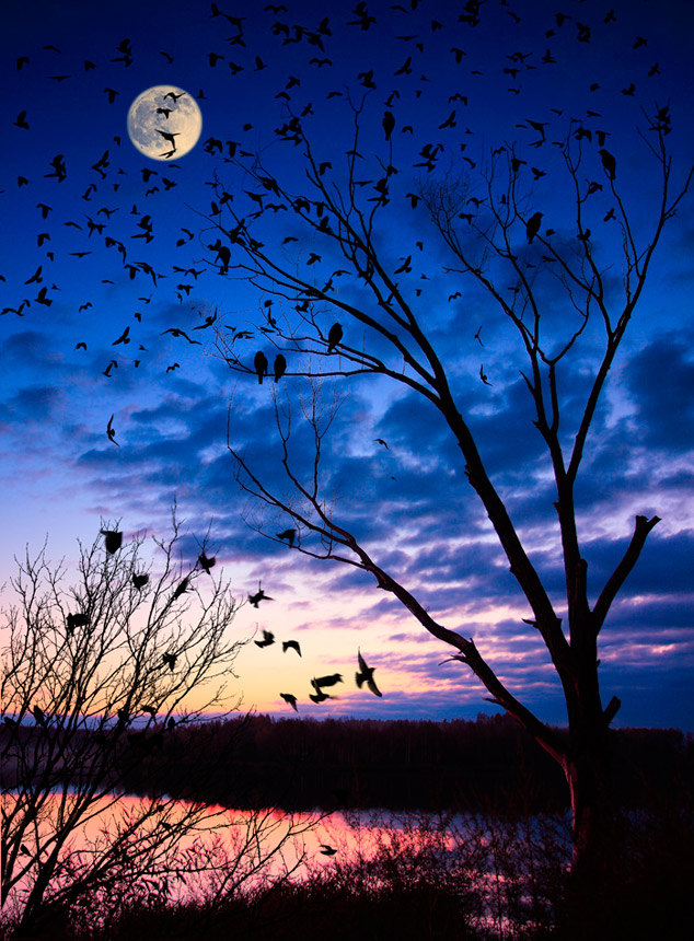 Abend auf der Laufbahn