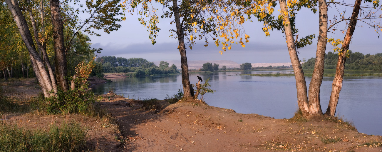 Die ersten Schritte fallen