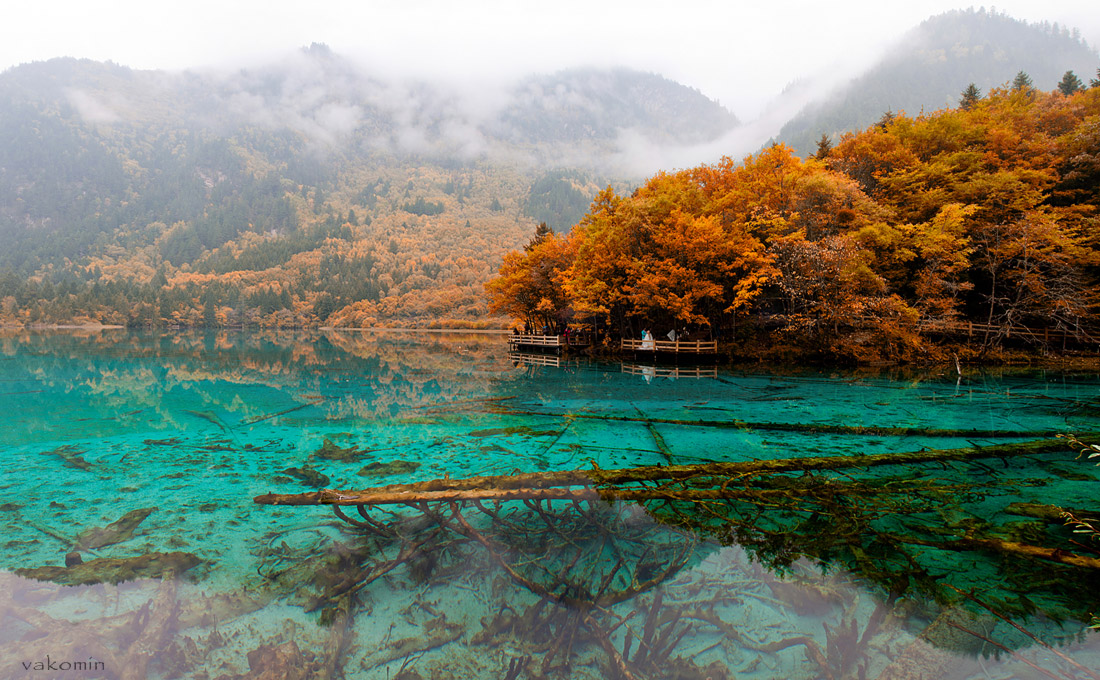 Auf einem Red Cliff (Jiuzhaigou # 8)