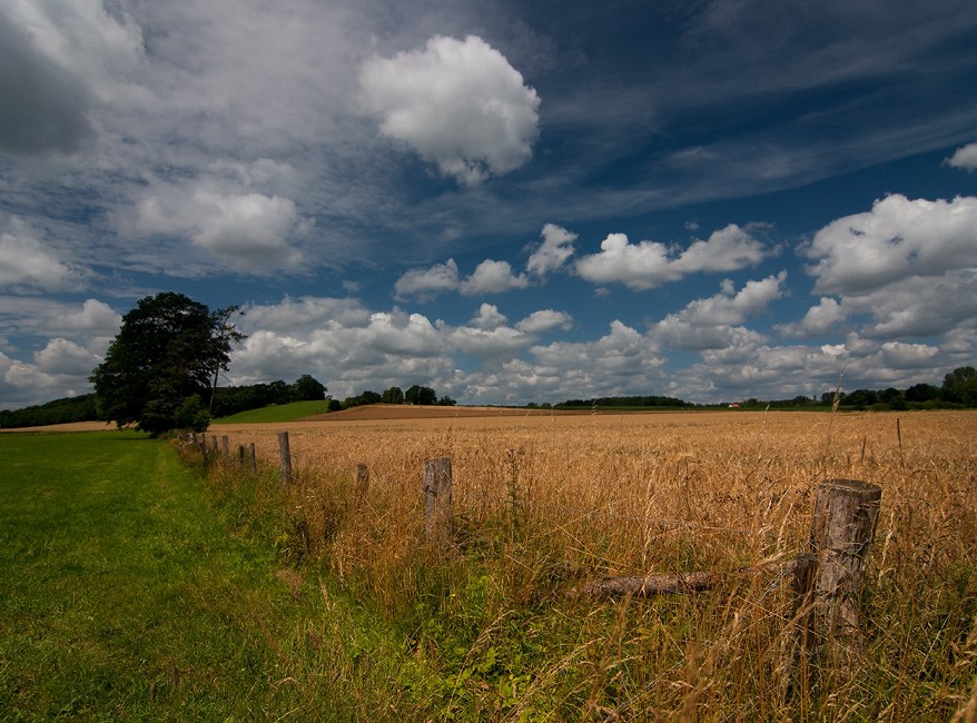 Nach seiner Flucht aus der Hektik
