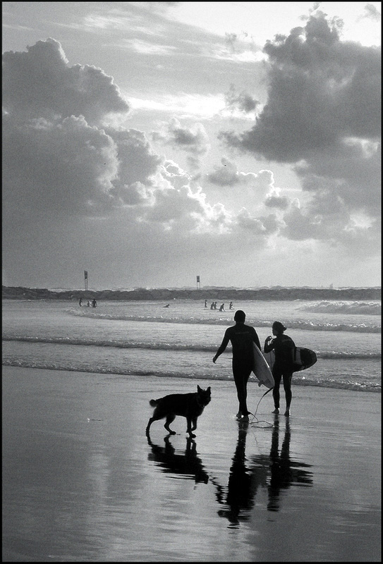 zwei mit Cerf, nicht eingerechnet die Hunde