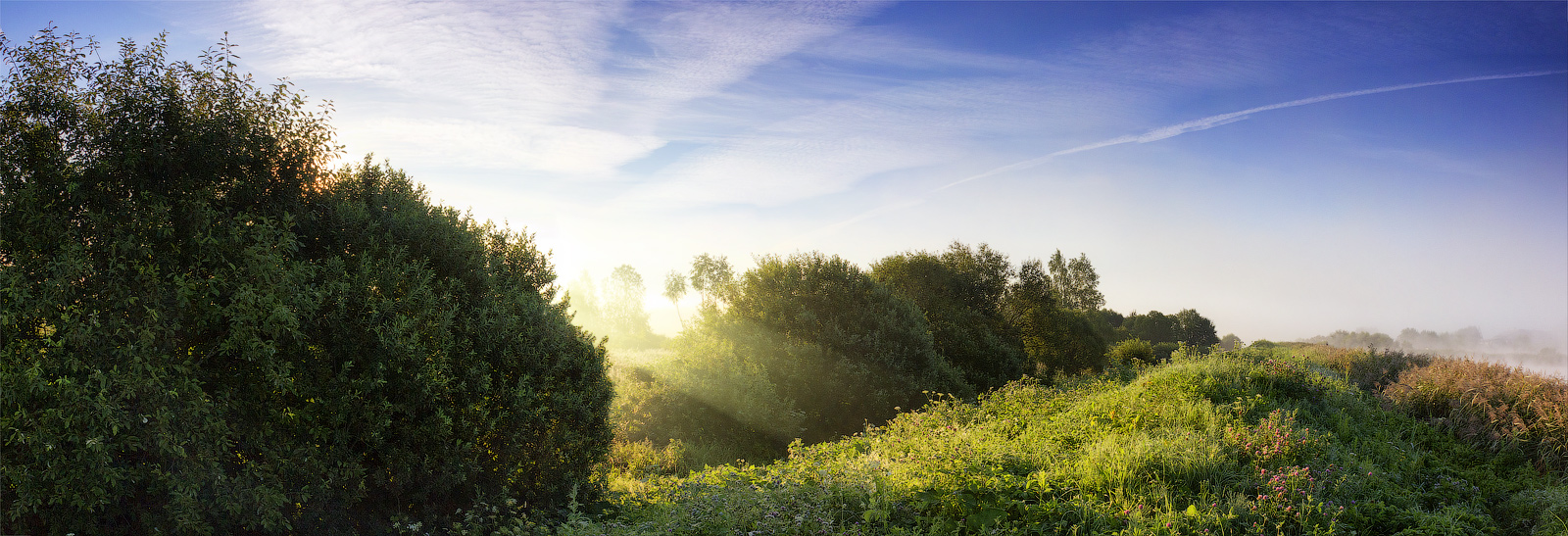 Die Sonne löst sich der Nebel