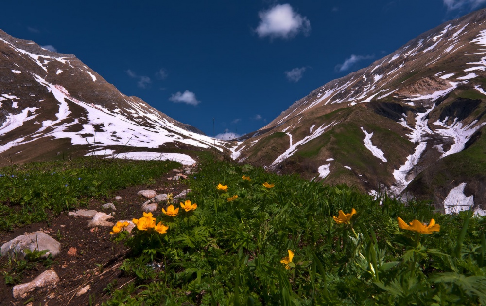 An einem heißen Nachmittag ..