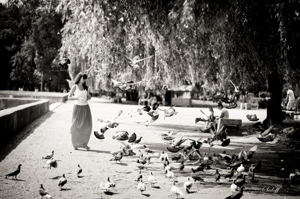 Quay, Toffee und Tauben