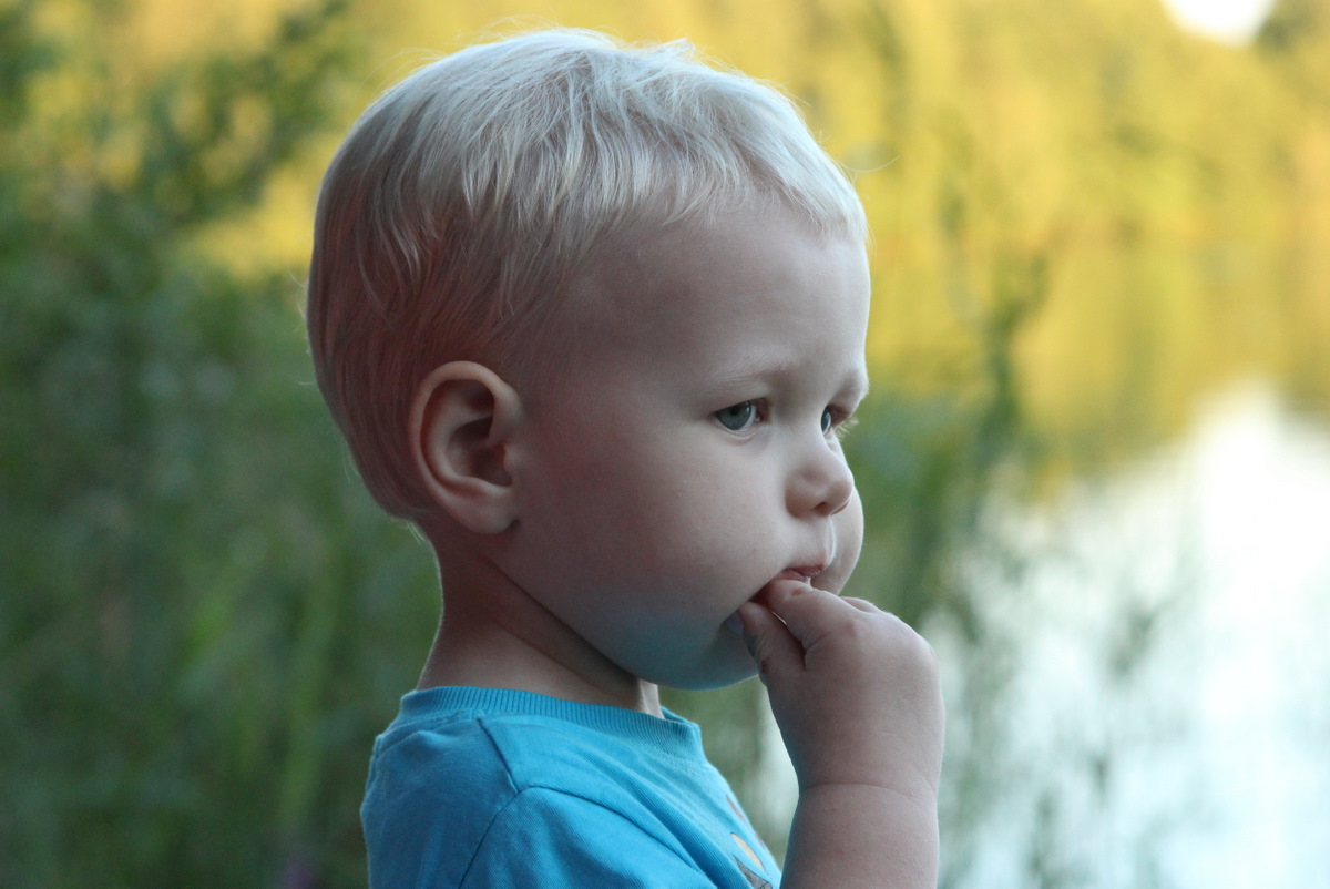 Боги, боги мои! Как грустна вечерняя земля! Как таинственны туманы над болотами.