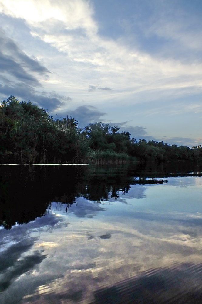 Gespiegelte Schweigen