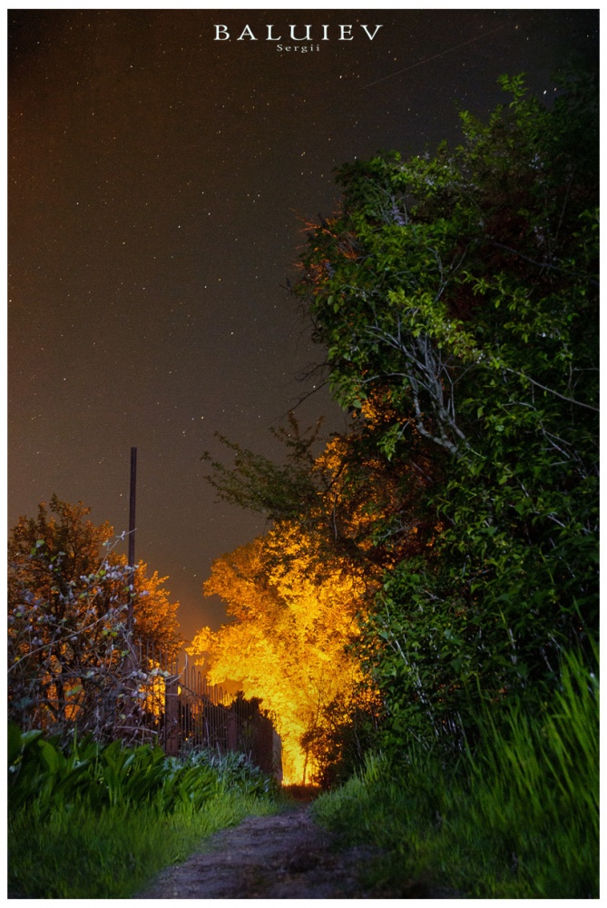 Zurück zu dem Feuer