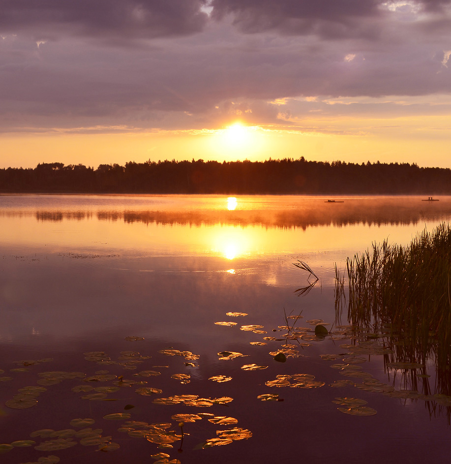 und die Sonne blinzelte ...