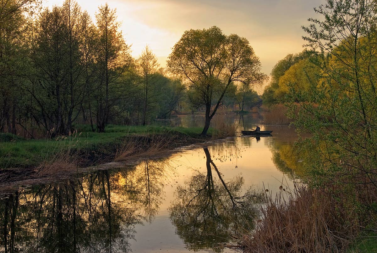 Am Morgen Morgengrauen