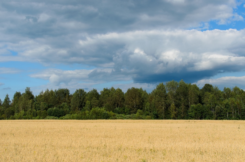 Farben von Smolensk.