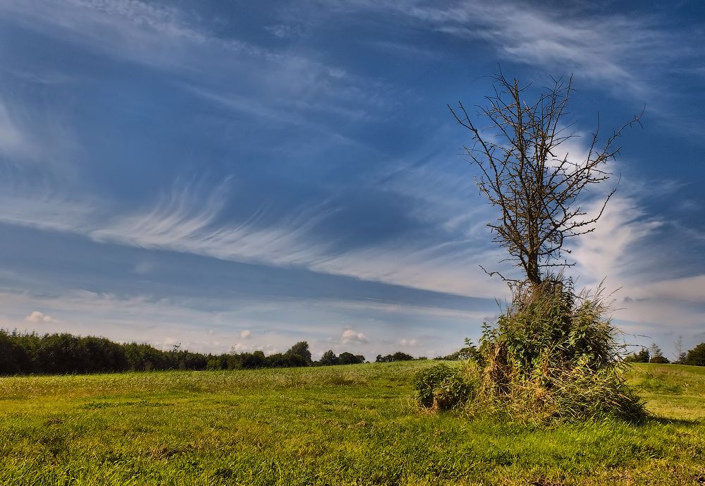 Cirrus ... und einsam ...
