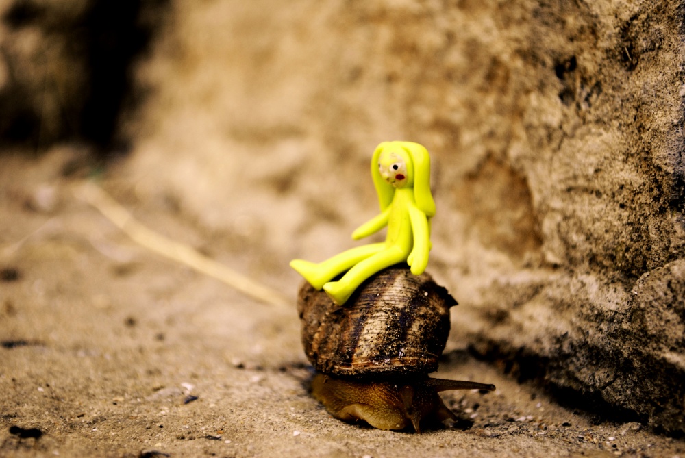 Ich werde auch nehmen?