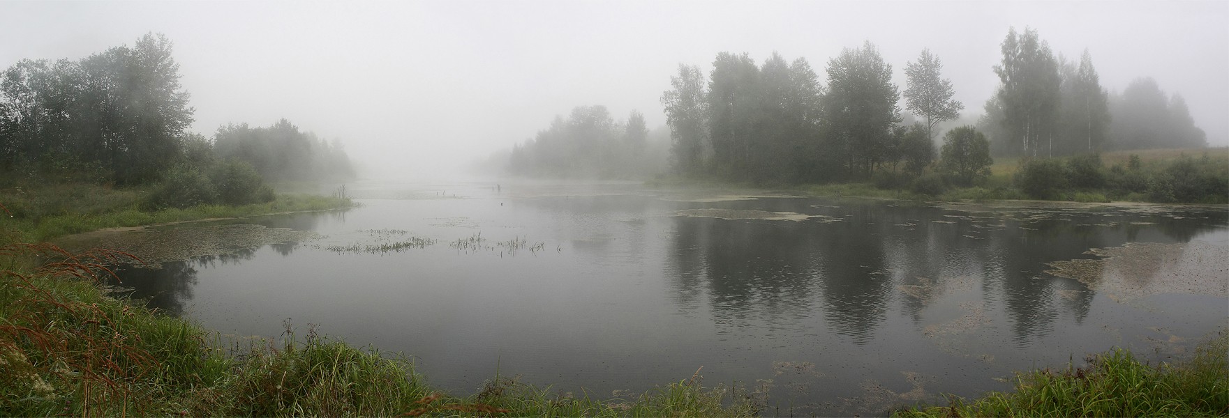 Nebel auf dem Teich.
