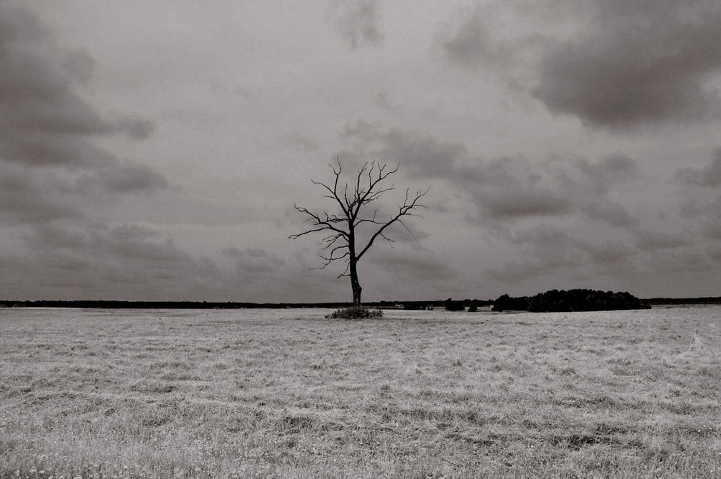 Über Einsamkeit ...