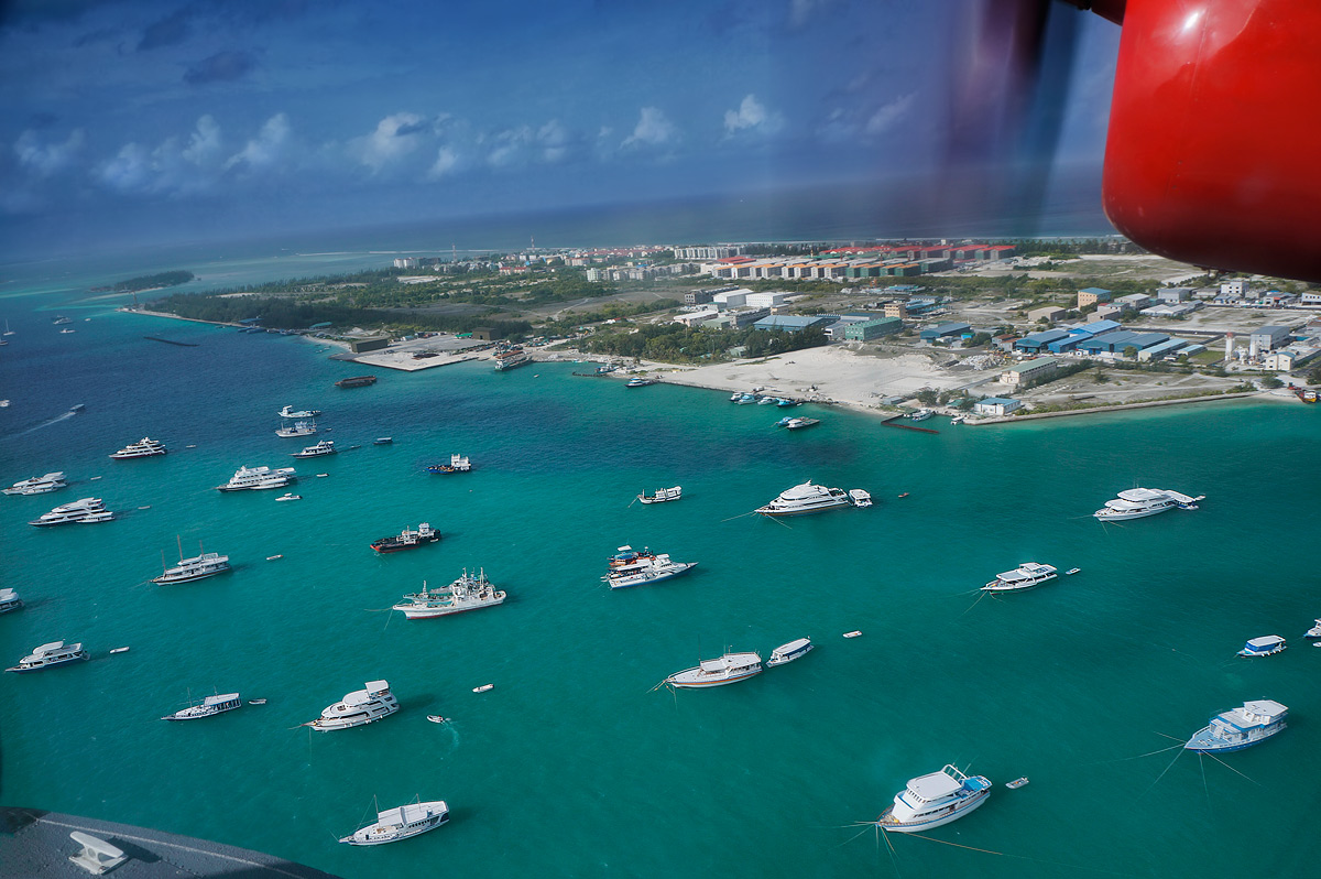 Unter dem Flügel eines Flugzeugs sind sanft whiskered Schiffe
