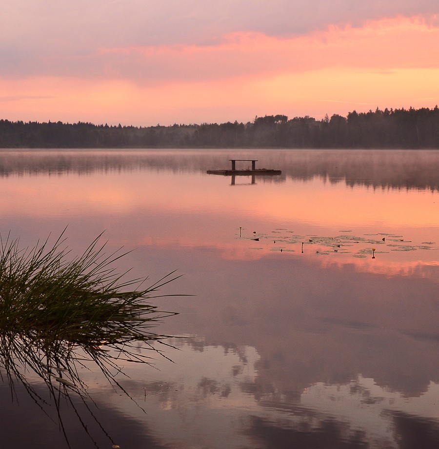 One of a Fischen Platz 3