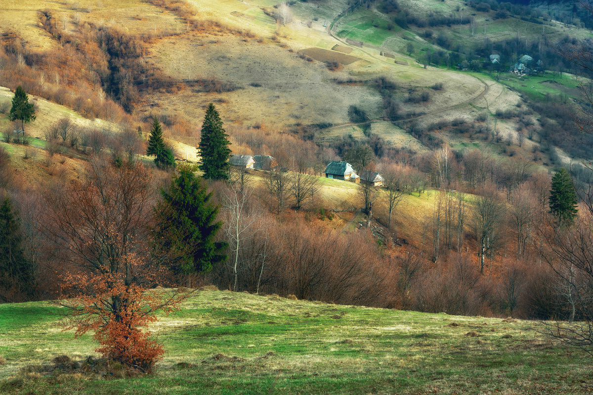 Wenn der Herbst trifft Frühling ...