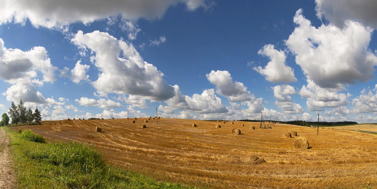 Reinigung fertig sind ...