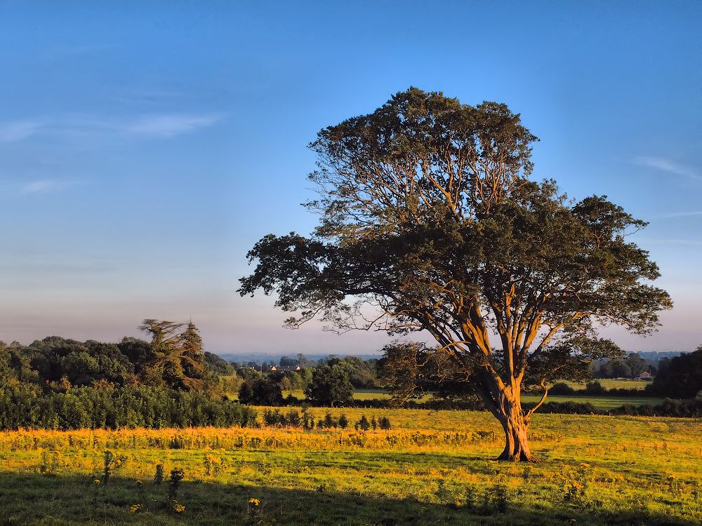 In den Farben des Sonnenuntergangs ......