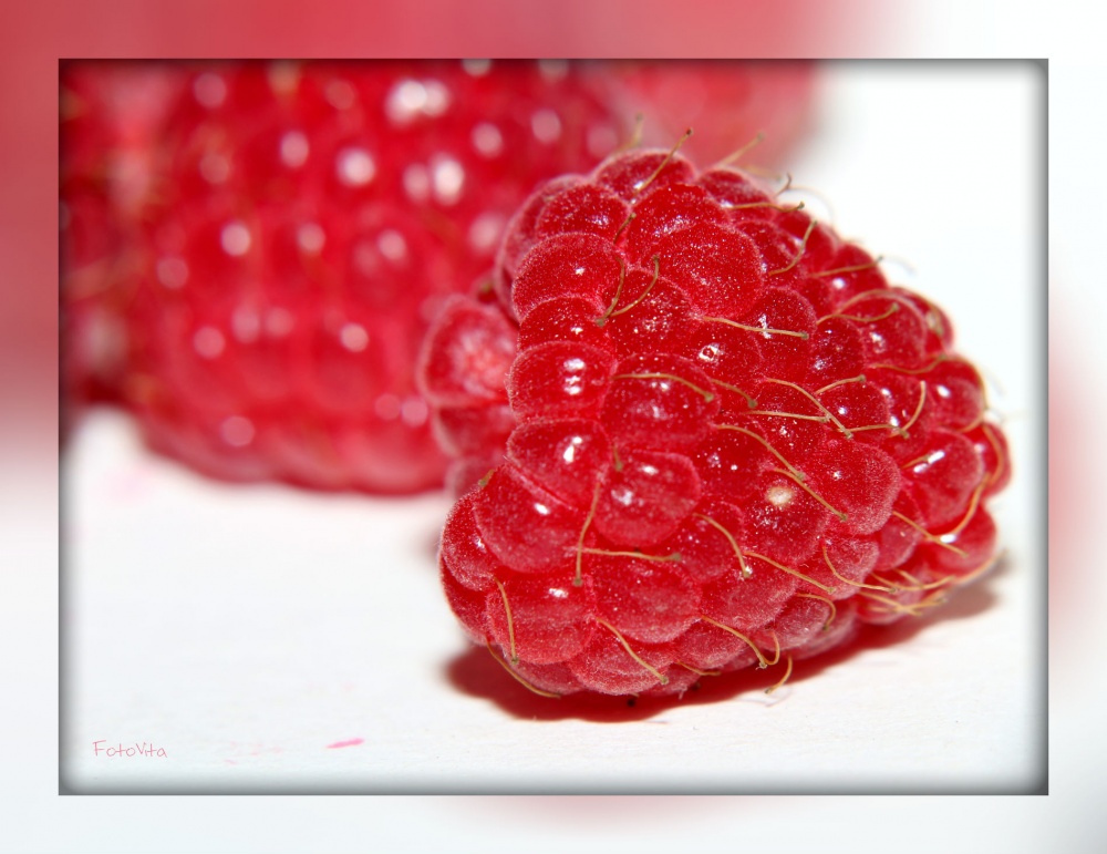 Winter Himbeeren