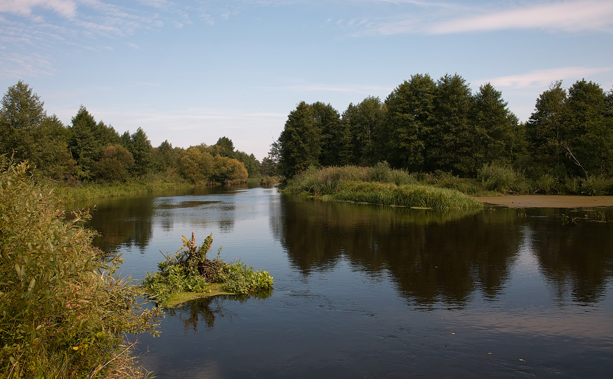 Im August das Geflügel