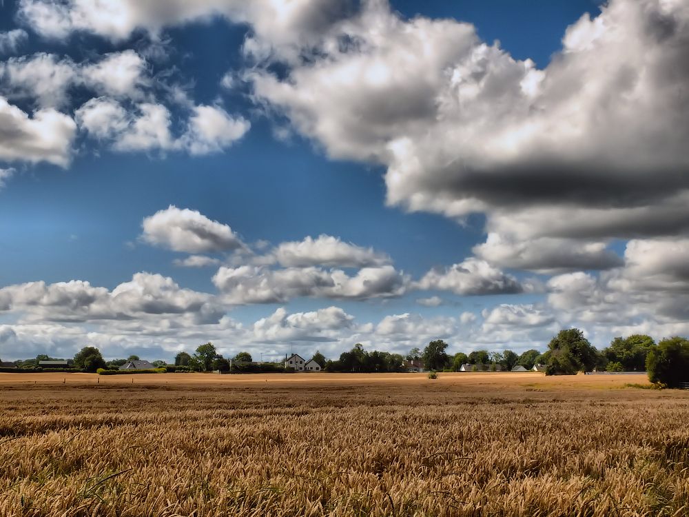 ... Brot, Häuser und Wolken ...