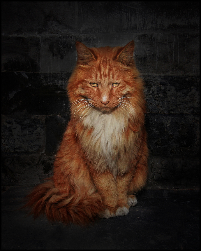 "Hodyut hier alle Arten von ..."