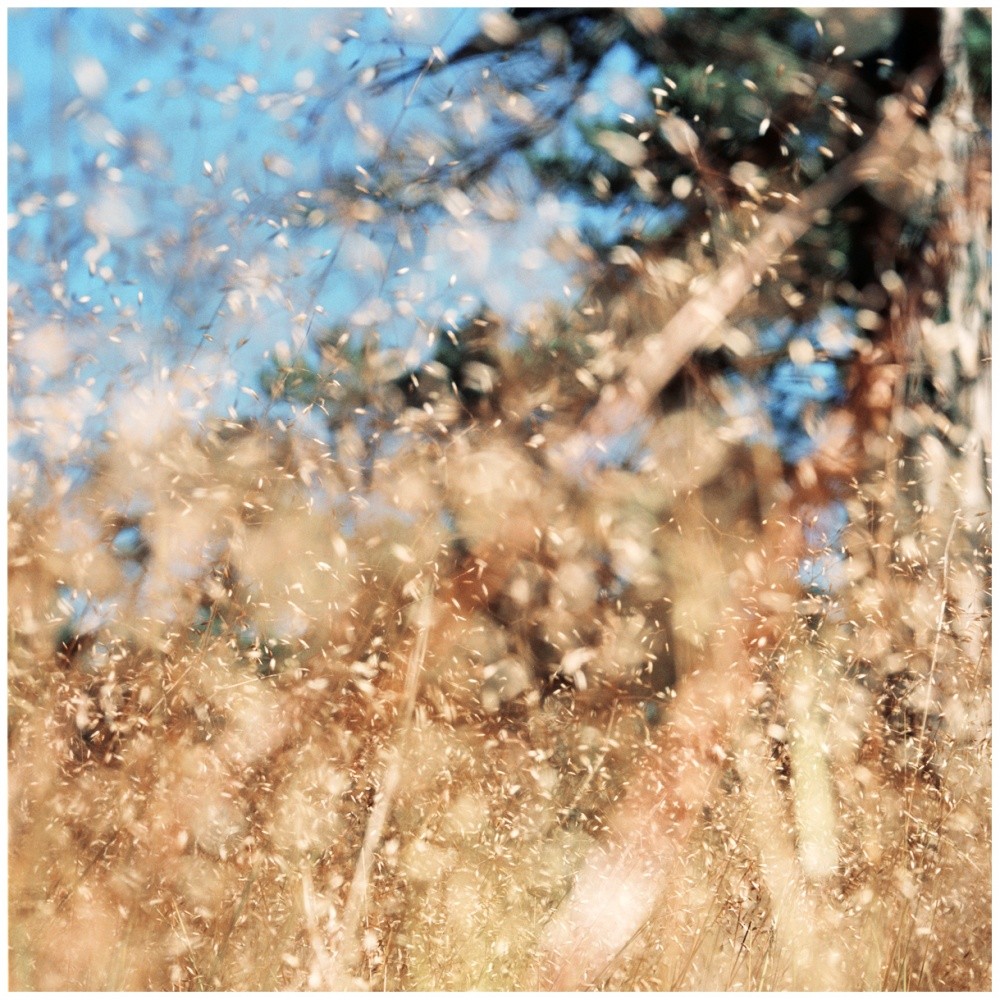 Stimmung: gelb auf blau.