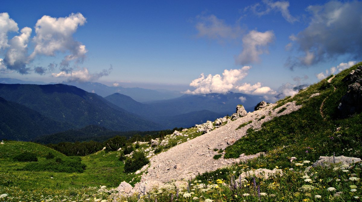 Im Bereich der Maikop Pass (die kaukasische Reserve)