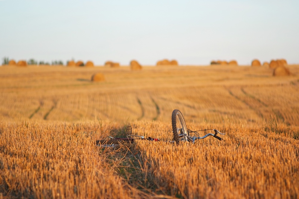 Woher kommt der Kindheit
