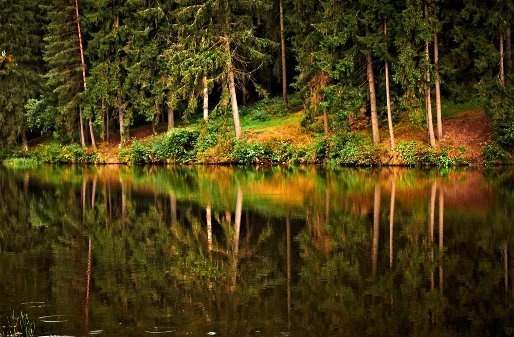 "На склоне лета"