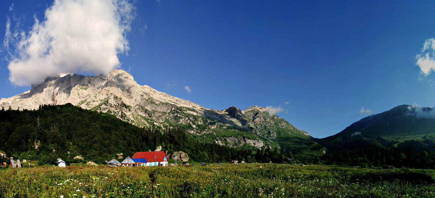Im Tierheim Fisht (Fishtinskaya glade)