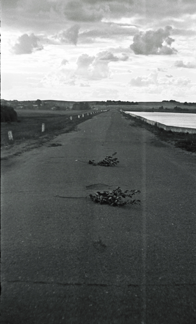 Petrovichskoe Reservoir