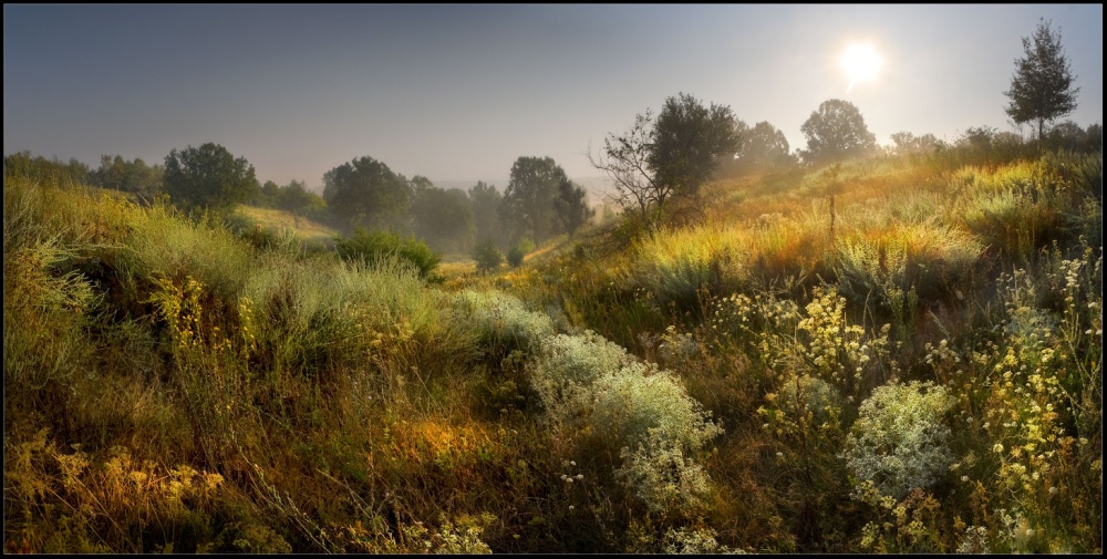 MORNING aus der Kindheit ...