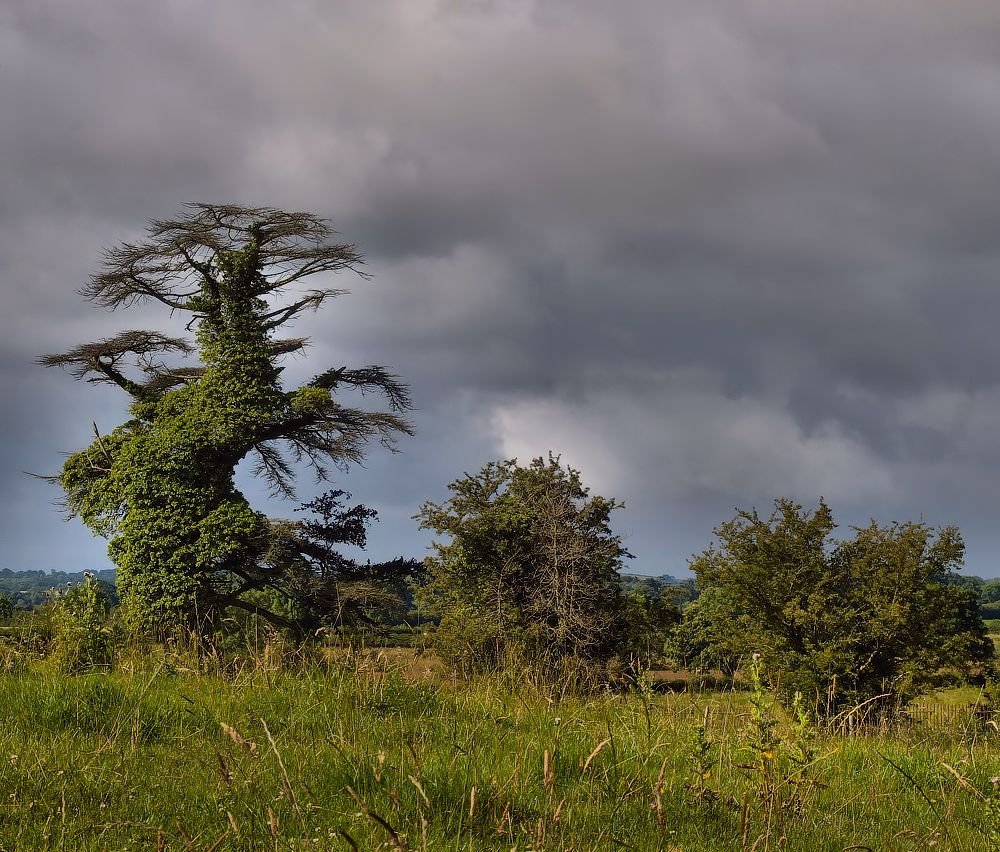 Country ... und die Nachbarn ...