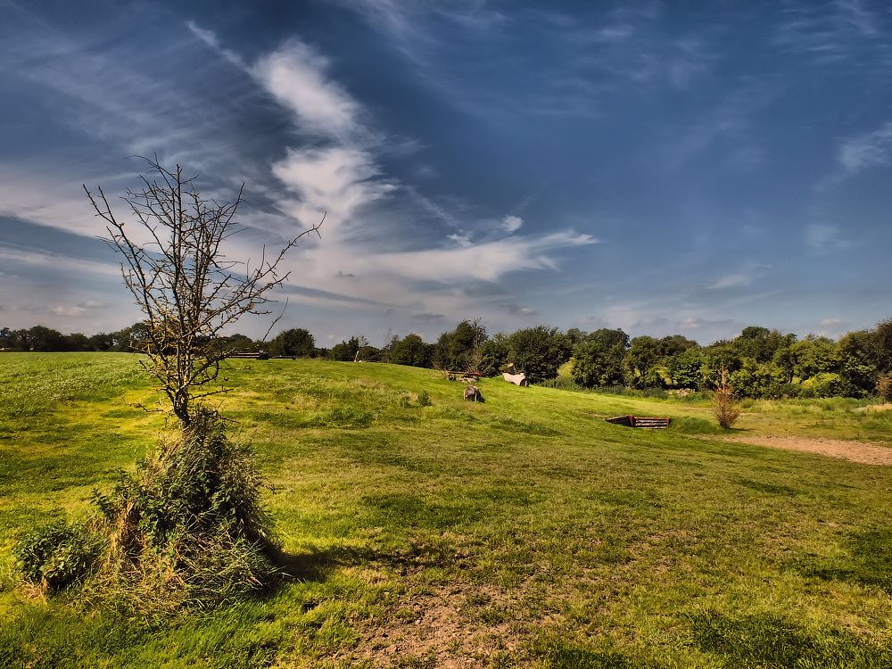 ... Allein ... und im Himmel "vYbuh" ...